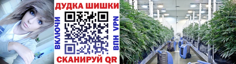 Наркошоп купить Alpha-PVP  Меф  Cocaine  ГАШ  Каннабис  Елабуга
