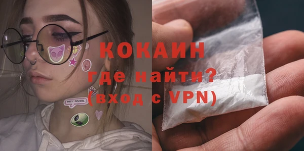стафф Касимов