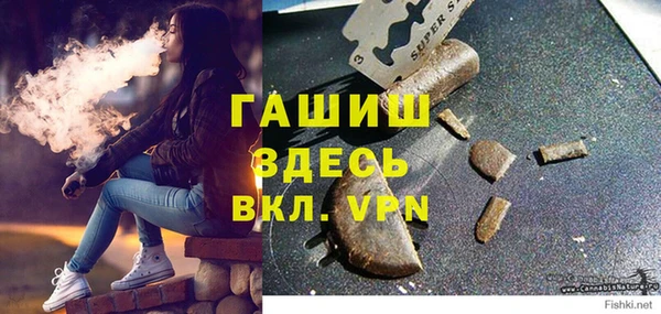 стафф Касимов