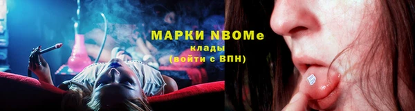 стафф Касимов