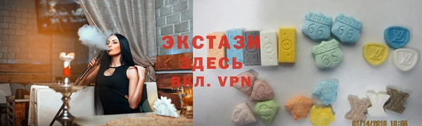 стафф Касимов