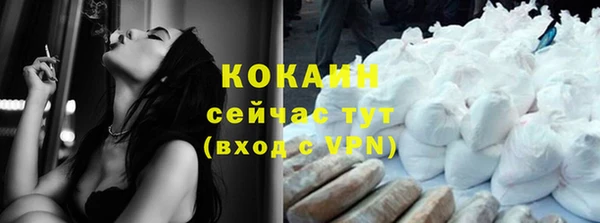 стафф Касимов