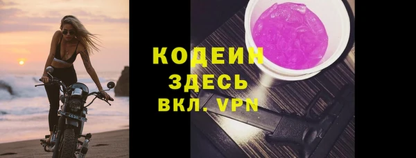 стафф Касимов