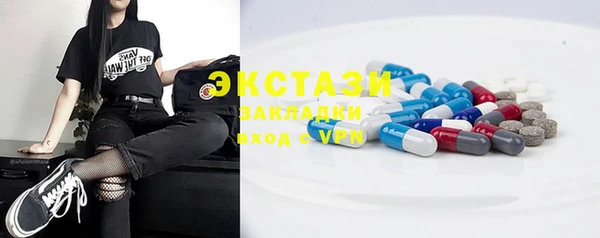 стафф Касимов