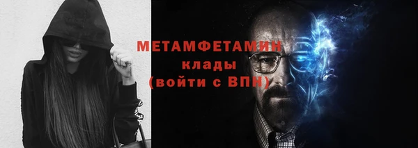 стафф Касимов