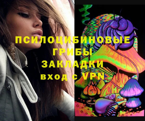 стафф Касимов