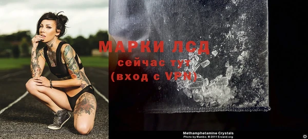 стафф Касимов