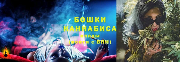 стафф Касимов